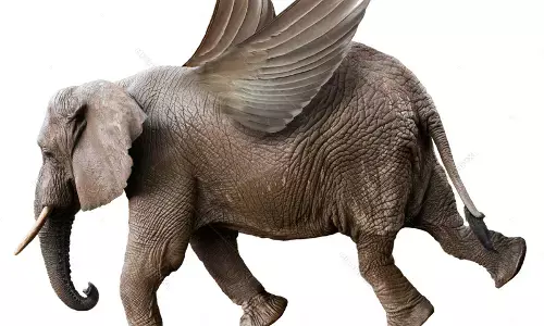 முனிவரின் சாபத்தால் சிறகினை இழந்ததா யானைகள்? ஐராவதம் பிறந்த கதை