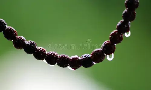 யாரெல்லாம் ருத்ராக்‌ஷம் அணியலாம்? அதன் வகைகளை தேர்வு செய்வது எப்படி?