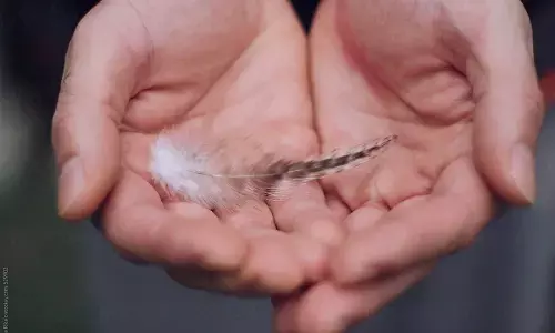 ஏதேர்சையாக இறகு உங்கள் கையில் கிடைக்கிறதா? அதிசய பலன்கள் உண்டு!