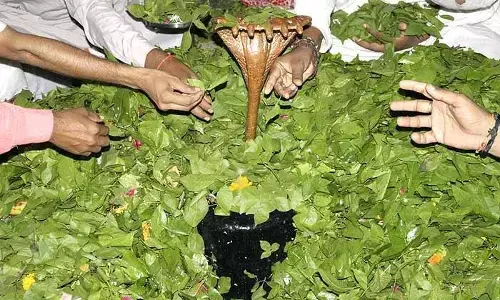 சிவபெருமானுக்கு உகந்தது வில்வம் என்ற கூற்றுக்கு பின் இருக்கும் ஆச்சர்ய உண்மை