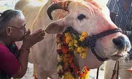 வாஸ்து தோஷத்தை போக்க உதவும் கோமாதா! ஆச்சர்ய தகவல்கள்!