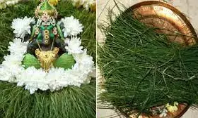 அருகம்புல் விநாயகருக்கு உகந்தது, என்பதற்கு பின்னிருக்கும் ஆச்சர்ய காரணம்!