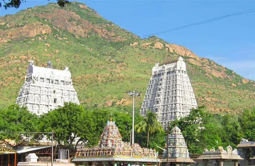 திருவண்ணாமலையில் விமான நிலையம்: சிவில் விமான போக்குவரத்துத்துறை பரிசீலனை.! திருவண்ணாமலையில் விமான நிலையம்: சிவில் விமான போக்குவரத்துத்துறை பரிசீலனை.!