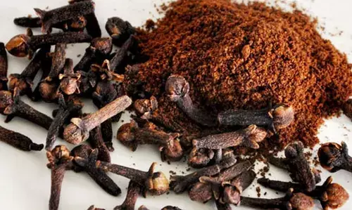 பூஞ்சைத் தொற்றிலிருந்து இந்த ஒரு பொருள் பயன்படுத்துவதன் மூலம் தீர்வு காண முடியுமாம்.!