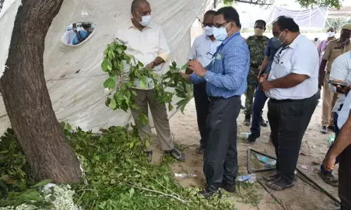 குணடையும் கொரோனா தொற்று: ஆயுர்வேத மருந்துக்கு ஒப்புதல் அளித்த ஆந்திர அரசு.!