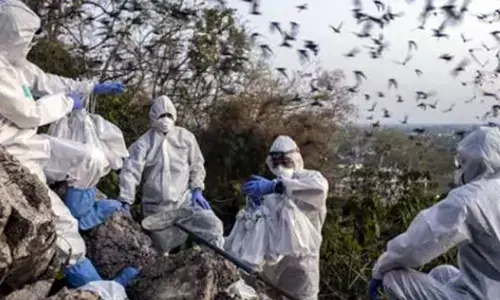 கொரோனா வைரஸ் சீனாவால் உருவாக்கப்பட்டது: இங்கிலாந்து விஞ்ஞானிகள் சந்தேகம்.!