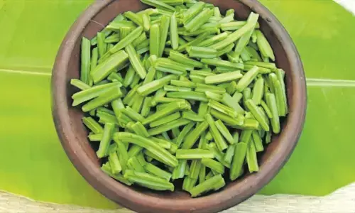 தேரையர் காப்பியத்தில் இடம்பெற்றுள்ள அரிய வகை மூலிகை.!