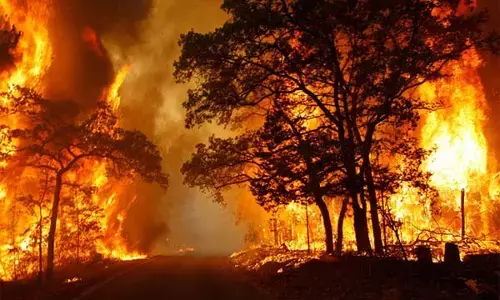 கலிபோர்னியாவின் பெரிய காட்டுத்தீயாக வரலாற்றில் இது பதிவாகக் கூடும்: வல்லுநர்கள் கருத்து.!