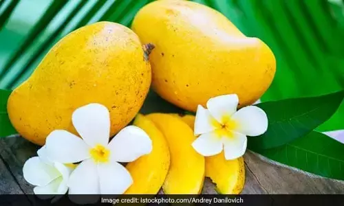 மாம்பழம் சாப்பிட்ட பிறகு நீங்கள் கட்டாயம் எடுத்துக் கொள்ளவே கூடாத சில உணவுகள்.!