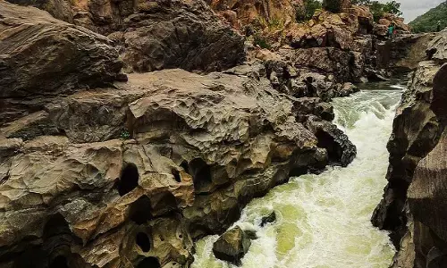 மேகதாது அணையை ஆய்வு செய்ய அமைக்கப்பட்ட குழு கலைப்பு : தேசிய பசுமை தீர்ப்பாயம் அதிரடி!