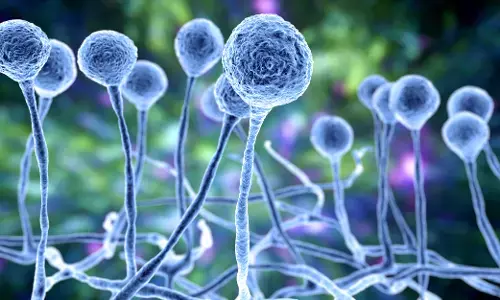 இந்த வகையை சேர்ந்தவர்கள், பூஞ்சைத் தொற்றுக்கு பயப்படத் தேவையில்லை.! இந்த வகையை சேர்ந்தவர்கள், பூஞ்சைத் தொற்றுக்கு பயப்படத் தேவையில்லை.!