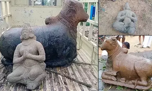 தாமிரபரணி ஆற்றில் கண்டெடுக்கப்பட்ட பழங்கால சிலைகள் - அதிகாரிகள் விசாரணை! தாமிரபரணி ஆற்றில் கண்டெடுக்கப்பட்ட பழங்கால சிலைகள் - அதிகாரிகள் விசாரணை!