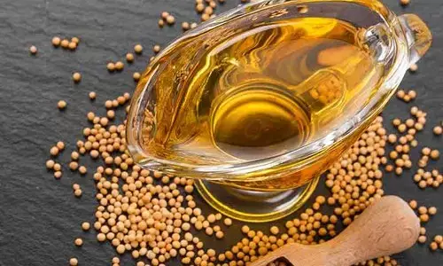 இதயத்தை பாதுகாப்பாக வைத்திருக்க நீங்கள் உபயோகப்படுத்த வேண்டிய சில விஷயங்கள்! இதயத்தை பாதுகாப்பாக வைத்திருக்க நீங்கள் உபயோகப்படுத்த வேண்டிய சில விஷயங்கள்!