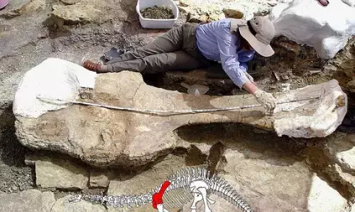 பிரிட்டன் : 110 மில்லியன் ஆண்டுகளுக்கு முன் வாழ்ந்த டைனோசர் பாதங்கள் கண்டுபிடிப்பு! பிரிட்டன் : 110 மில்லியன் ஆண்டுகளுக்கு முன் வாழ்ந்த டைனோசர் பாதங்கள் கண்டுபிடிப்பு!