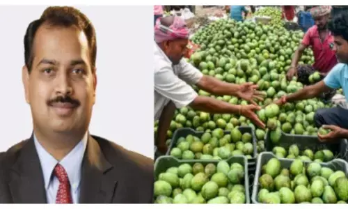 ஏழை மாணவியின் படிப்பிற்காக சுமார் ₹1.2 லட்சத்திற்கு மாம்பழங்களை வாங்கிய தொழிலதிபர்! ஏழை மாணவியின் படிப்பிற்காக சுமார் ₹1.2 லட்சத்திற்கு மாம்பழங்களை வாங்கிய தொழிலதிபர்!