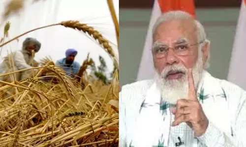 வாவ் சூப்பர்! பிரதமரின் பயிர் காப்பீடு திட்டம் மூலம் விவசாயிகளுக்கு ரூ.95,000 கோடி இழப்பீடு வழங்கப்பட்ட சாதனை!