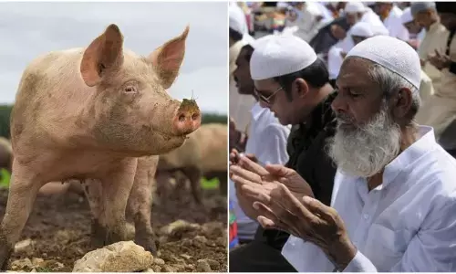 பக்ரீத்துக்கு மாடுகளை பலி கொடுத்தால் அது நியாயம்! மதுரை வீரன் கோவிலுக்கு படையல் போட்டால் அது அநியாயமா? புதுகோட்டை சிறும்பான்மையின மக்களின் அட்டகாசம்!