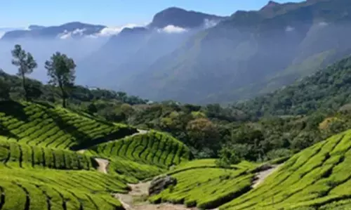 தமிழகத்தில் தீவிரமடைகிறதா கொரோனா.  முக்கிய சுற்றுலா பகுதிக்கு வெளியாட்கள் செல்வதற்கு கட்டுப்பாடு !