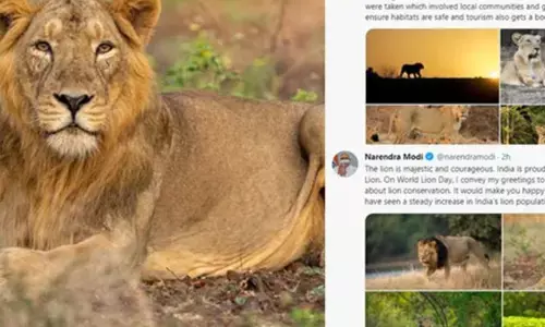 ஆசிய சிங்கங்களின் தாயகமாக விளங்கும் இந்தியா : பிரதமரின் பெருமிதம் !