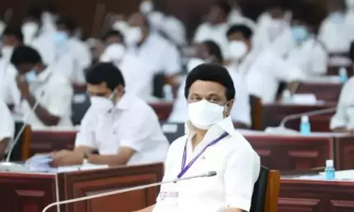 வேளாண் பட்ஜெட்: கிருஷ்ணகிரியில் புதிய தோட்டக்கலைக் கல்லூரி!ஈரோட்டில் மஞ்சள் ஆராய்ச்சி மையம் !