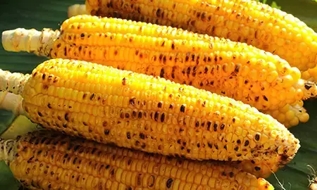 பல்வேறு சத்தான கூறுகள் மற்றும் தாதுக்கள் நிறைந்துள்ள உணவு !