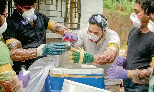 கேரளாவில் நிபா வைரஸ் காரணமாக தீவிர கண்காணிப்பு !