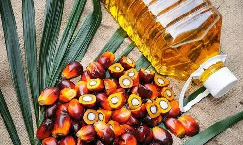 இதெல்லாம் சொல்ல மாட்டாங்க! அரசுக்கு இழப்பு ஏற்பட்டாலும் மக்கள் துயரத்தை போக்க எண்ணெய்க்கான வரியை குறைத்தது மத்திய அரசு !