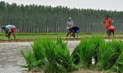 விவசாயத்தை நவீனமயமாக்க விரும்பும் இந்திய பொருளாதாரத்தின் நடவடிக்கைகள் !