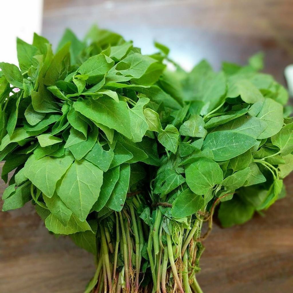 செரிமான அமைப்பு மேம்பட உதவும் இந்த கீரை பற்றி அறியாத விஷயங்கள் !