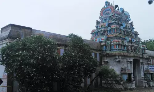 தமிழகத்தின் புகழ்பெற்ற ஸ்தலங்களுள் ஒன்றான திருவைக்காவூர் கோவில் !