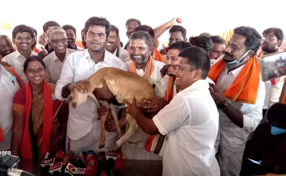 ஆட்டுக்குட்டி பரிசாக வழங்கியதை ஆஸ்கர் விருது போல மகிழ்ச்சி அடைகிறேன்: அண்ணாமலை!