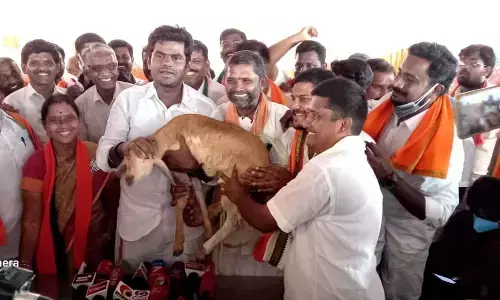 ஆட்டுக்குட்டி பரிசாக வழங்கியதை ஆஸ்கர் விருது போல மகிழ்ச்சி அடைகிறேன்: அண்ணாமலை!