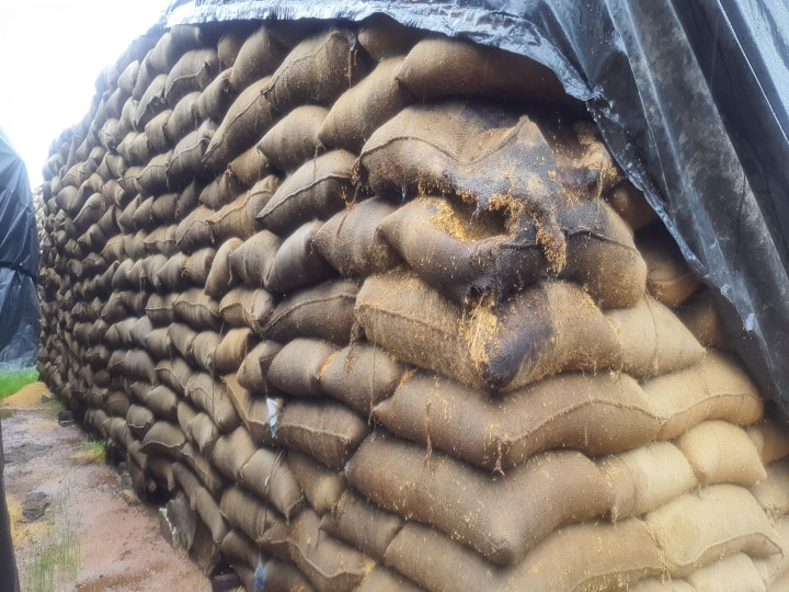 தி.மு.க. ஆட்சியின் அவலம்: 25,000 நெல் மூட்டைகள் மழையில் நனைந்து நாசம் !