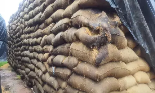 தி.மு.க. ஆட்சியின் அவலம்: 25,000 நெல் மூட்டைகள் மழையில் நனைந்து நாசம் !