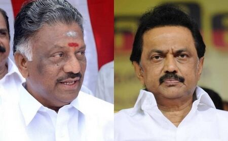 செந்தில் பாலாஜியை நம்பாதீங்க.. முதலமைச்சர் ஸ்டாலின் உடனே மத்திய அமைச்சரை தொடர்பு கொள்ள வேண்டும்: ஓ.பன்னீர்செல்வம் பரபரப்பு அறிக்கை !