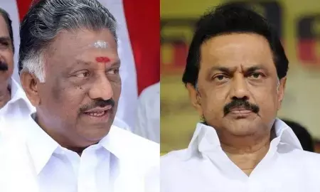 செந்தில் பாலாஜியை நம்பாதீங்க.. முதலமைச்சர் ஸ்டாலின் உடனே மத்திய அமைச்சரை தொடர்பு கொள்ள வேண்டும்: ஓ.பன்னீர்செல்வம் பரபரப்பு அறிக்கை !