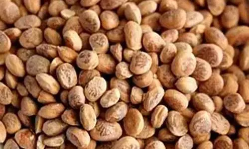 மனதை கூர்மையாக்க உதவும் அறிவியலின் பரிந்துரை இதுதான்.!