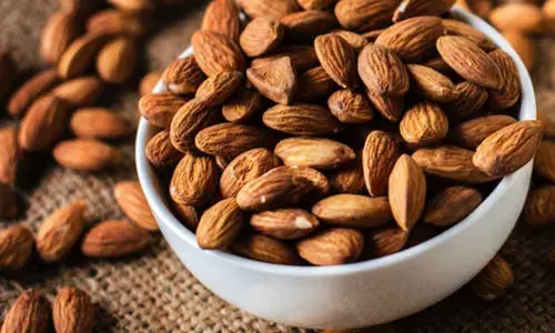 மூளை செயல்பாட்டை அதிகரிக்கும் இதை சாப்பிட சரியான நேரம் இதுதான்!