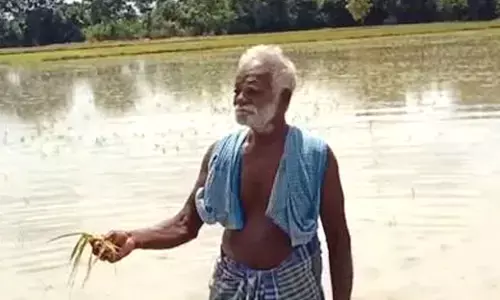 மழை நீரில் மூழ்கிய 2000 ஏக்கர் நெற்பயிர்: கவலையில் தஞ்சை விவசாயிகள்!