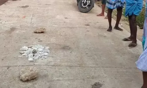 துணைத்தலைவர் பதவியை பிடிக்க ரூ.1 லட்சம் பணத்தை வீதியில் வீசியெறிந்த பெண்!