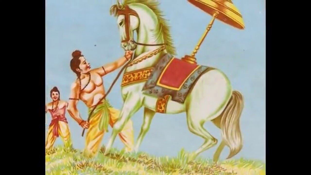 அஸ்வமேத யாகம் அரசர்களால் செய்யப்படுவது ஏன்? சுவாரஸ்ய தகவல் !