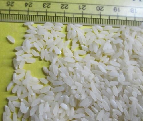 இந்தியா மரபணு மாற்றம் செய்யப்பட்ட அரிசியை ஏற்றுமதி செய்கிறதா? திட்டமிட்டே பரவி வரும் போலி செய்தி!