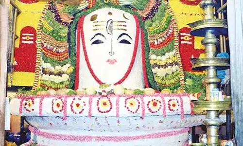 தஞ்சை பெருவுடையாருக்கு 750 கிலோ அரிசி சாதத்தால் அன்னாபிஷேகம்!