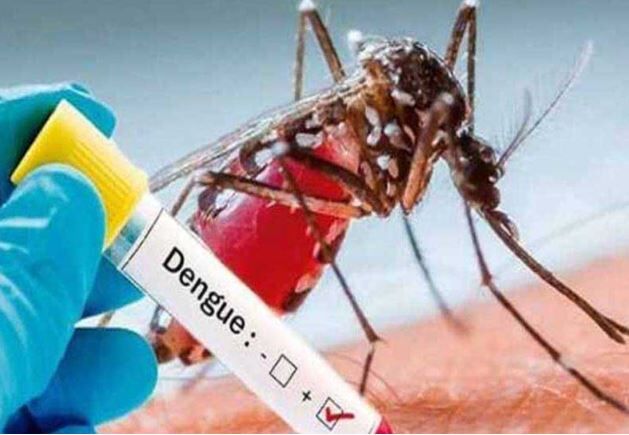 கோவை நகர், புறநகர் பகுதிகளில் டெங்கு பரவல் அதிகரிப்பு: அதிர்ச்சி தகவல்!