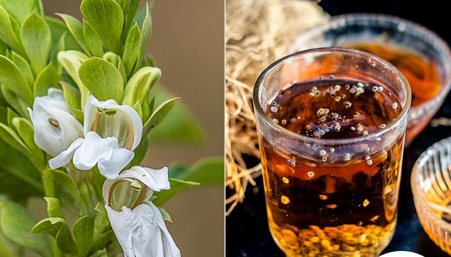 ஆயுர்வேத சிகிச்சையில் அதிக அளவு பயன்படுத்தப்பட்ட மூலிகைகளில் இதுவும் ஒன்று !