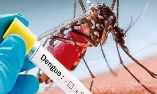 கோவை நகர், புறநகர் பகுதிகளில் டெங்கு பரவல் அதிகரிப்பு: அதிர்ச்சி தகவல்!
