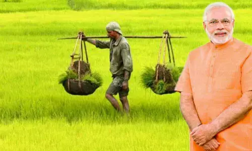 தமிழகத்திற்கு 90 ஆயிரம் மெட்ரிக் டன் யூரியாவை ஒதுக்கிய மத்திய அரசு !