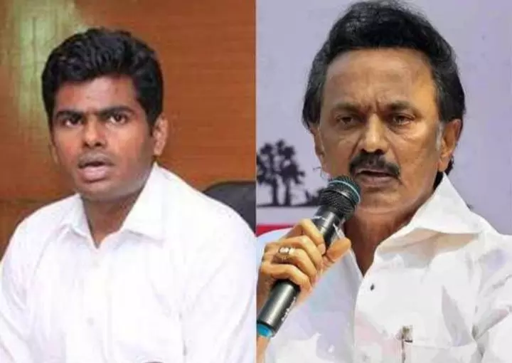 முல்லை பெரியாறு அணை திறந்தது கூடவா முதல்வர் ஸ்டாலினுக்கு தெரியாது?  விளாசும் அண்ணாமலை !