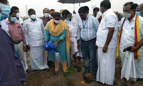 தருமபுரி அருகே கொட்டும் மழையிலும் தீவன மரக்கன்றுகள் நடும் விழாவில் பங்கேற்ற ஆட்சியர்!