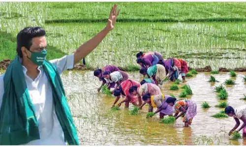 ஒரு வழியாக முதல்வருக்கு ஞாபகம் வந்த டெல்டா மாவட்டங்கள் - மழை பாதிப்புகளை பார்வையிட அமைச்சர் குழு !